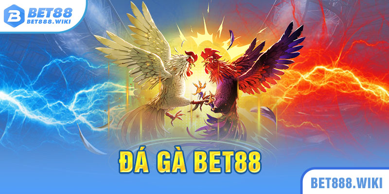 Giới thiệu sảnh đá gà Bet88