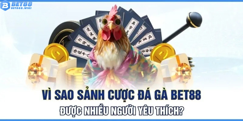 Ưu điểm tạo nên sức hút của sảnh đá gà Bet88